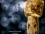 Afiș Oscar - 2012