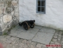 Septembrie 2014 - In Norvegia
