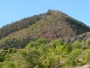 Octombrie verde