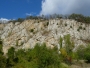 Octombrie verde