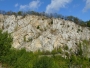 Octombrie verde