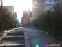 Martie 2013 - These streets