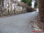 Martie 2013 - These streets